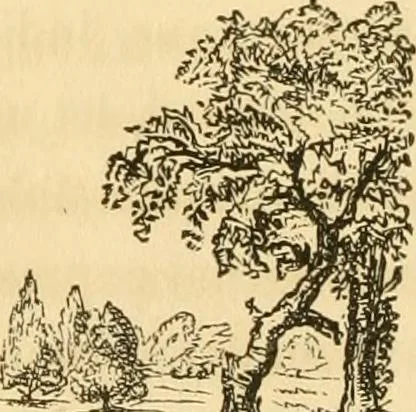 An illustration from A treatise on the theory and practice of landscape gardening, adapted to North America; with a view to the improvement of country residences. Comprising historical notices and general principles of the art, directions for laying out grounds and arranging plantations, the description and cultivation of hardy trees, decorative accompaniments to the house and grounds, the formation of pieces of artificial water, flower gardens, etc. with remarks on rural architecture .., 1841, leaf 55