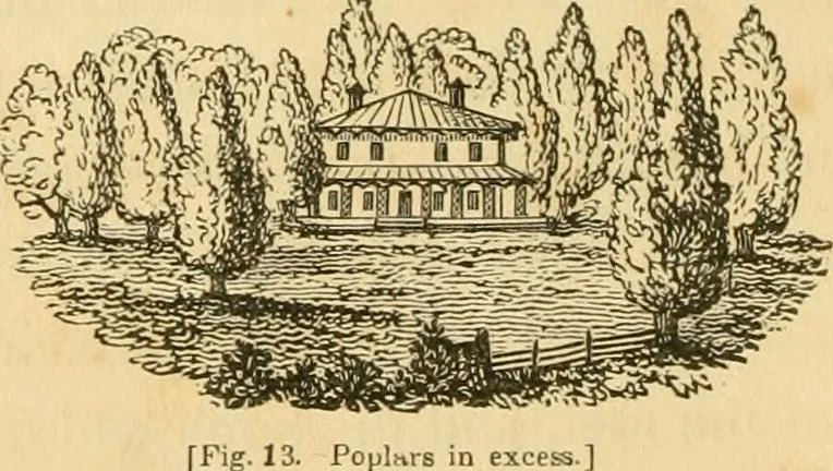 An illustration from A treatise on the theory and practice of landscape gardening, adapted to North America; with a view to the improvement of country residences. Comprising historical notices and general principles of the art, directions for laying out grounds and arranging plantations, the description and cultivation of hardy trees, decorative accompaniments to the house and grounds, the formation of pieces of artificial water, flower gardens, etc. with remarks on rural architecture .., 1841, leaf 95
