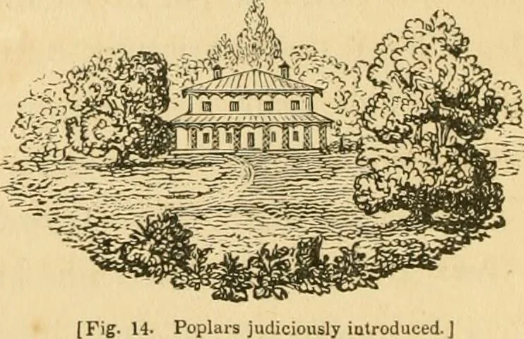 An illustration from A treatise on the theory and practice of landscape gardening, adapted to North America; with a view to the improvement of country residences. Comprising historical notices and general principles of the art, directions for laying out grounds and arranging plantations, the description and cultivation of hardy trees, decorative accompaniments to the house and grounds, the formation of pieces of artificial water, flower gardens, etc. with remarks on rural architecture .., 1841, leaf 95
