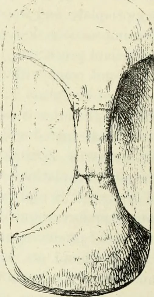 An illustration from A treatise on wood engravings : historical and practical, 1881, leaf 31