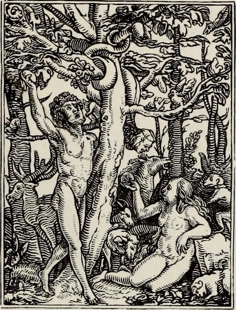 An illustration from A treatise on wood engravings : historical and practical, 1881, leaf 364