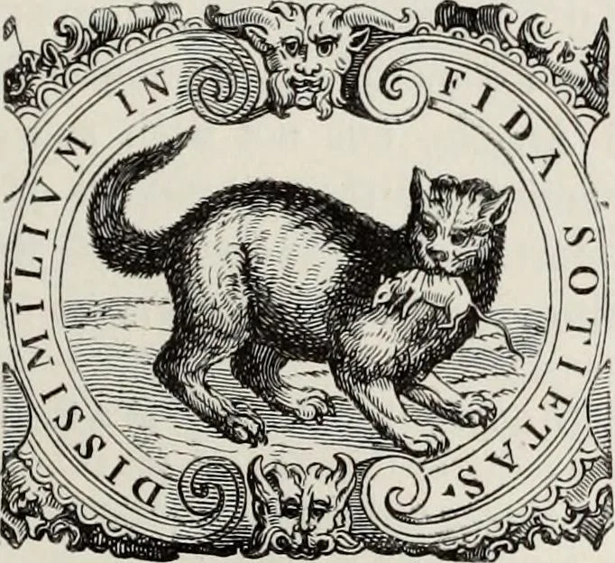 An illustration from A treatise on wood engravings : historical and practical, 1881, leaf 456