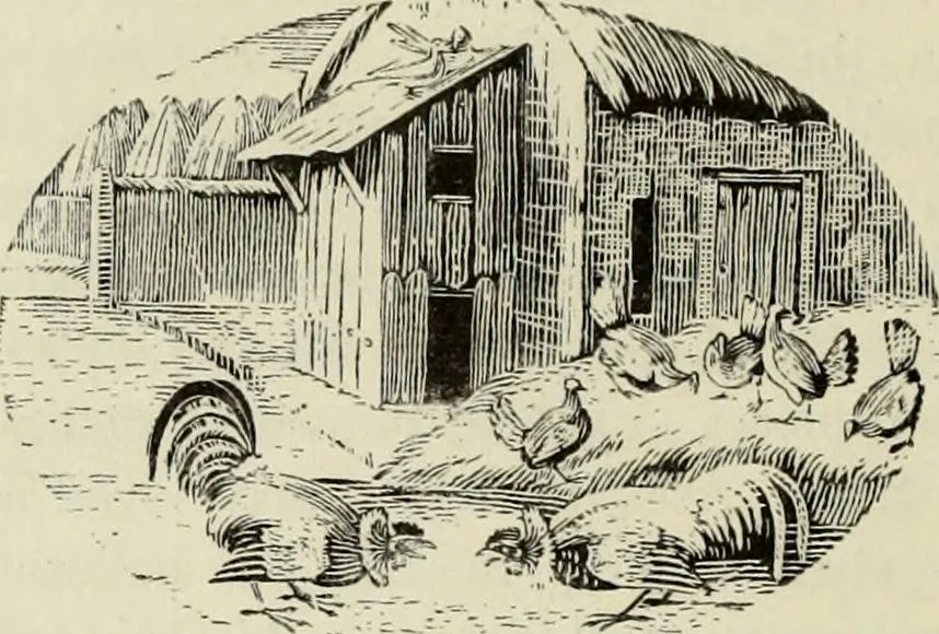 An illustration from A treatise on wood engravings : historical and practical, 1881, leaf 505