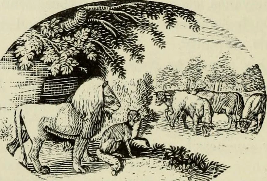 An illustration from A treatise on wood engravings : historical and practical, 1881, leaf 505