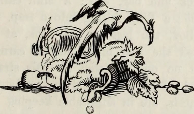 An illustration from A treatise on wood engravings : historical and practical, 1881, leaf 508