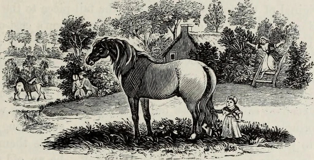 An illustration from A treatise on wood engravings : historical and practical, 1881, leaf 512