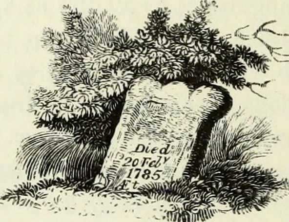 An illustration from A treatise on wood engravings : historical and practical, 1881, leaf 531