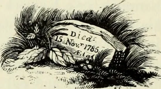 An illustration from A treatise on wood engravings : historical and practical, 1881, leaf 531