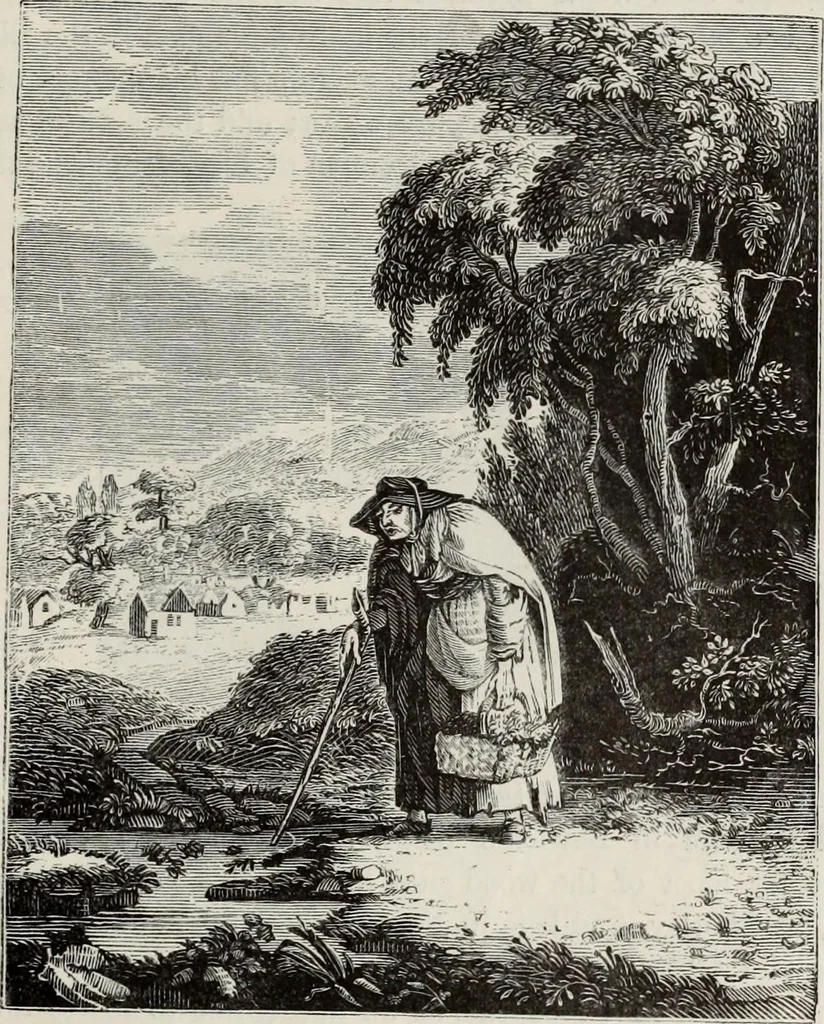 An illustration from A treatise on wood engravings : historical and practical, 1881, leaf 540