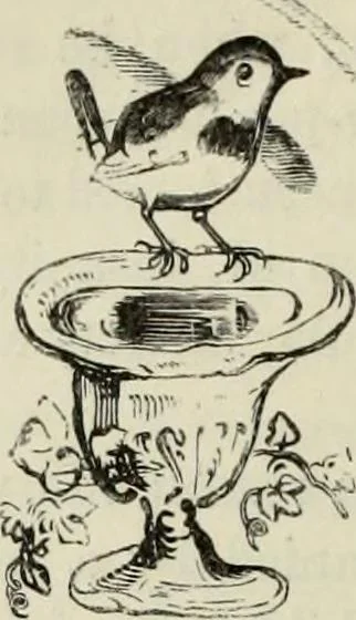 An illustration from A treatise on wood engravings : historical and practical, 1881, leaf 551