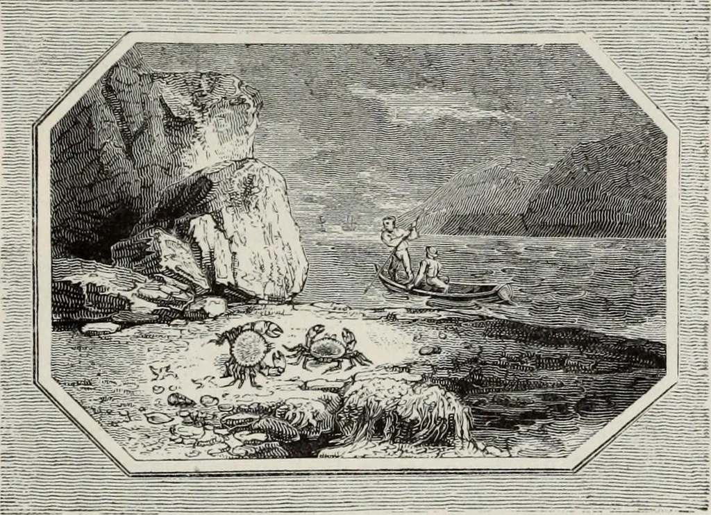 An illustration from A treatise on wood engravings : historical and practical, 1881, leaf 562