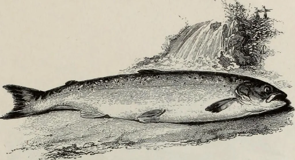 An illustration from A treatise on wood engravings : historical and practical, 1881, leaf 566