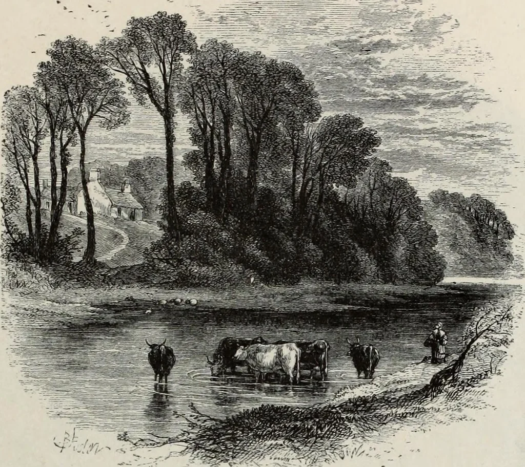 An illustration from A treatise on wood engravings : historical and practical, 1881, leaf 576