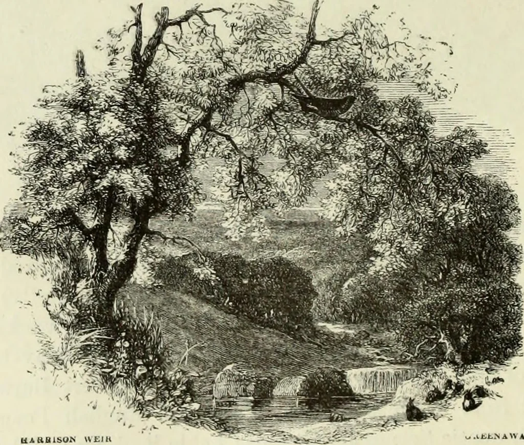 An illustration from A treatise on wood engravings : historical and practical, 1881, leaf 579