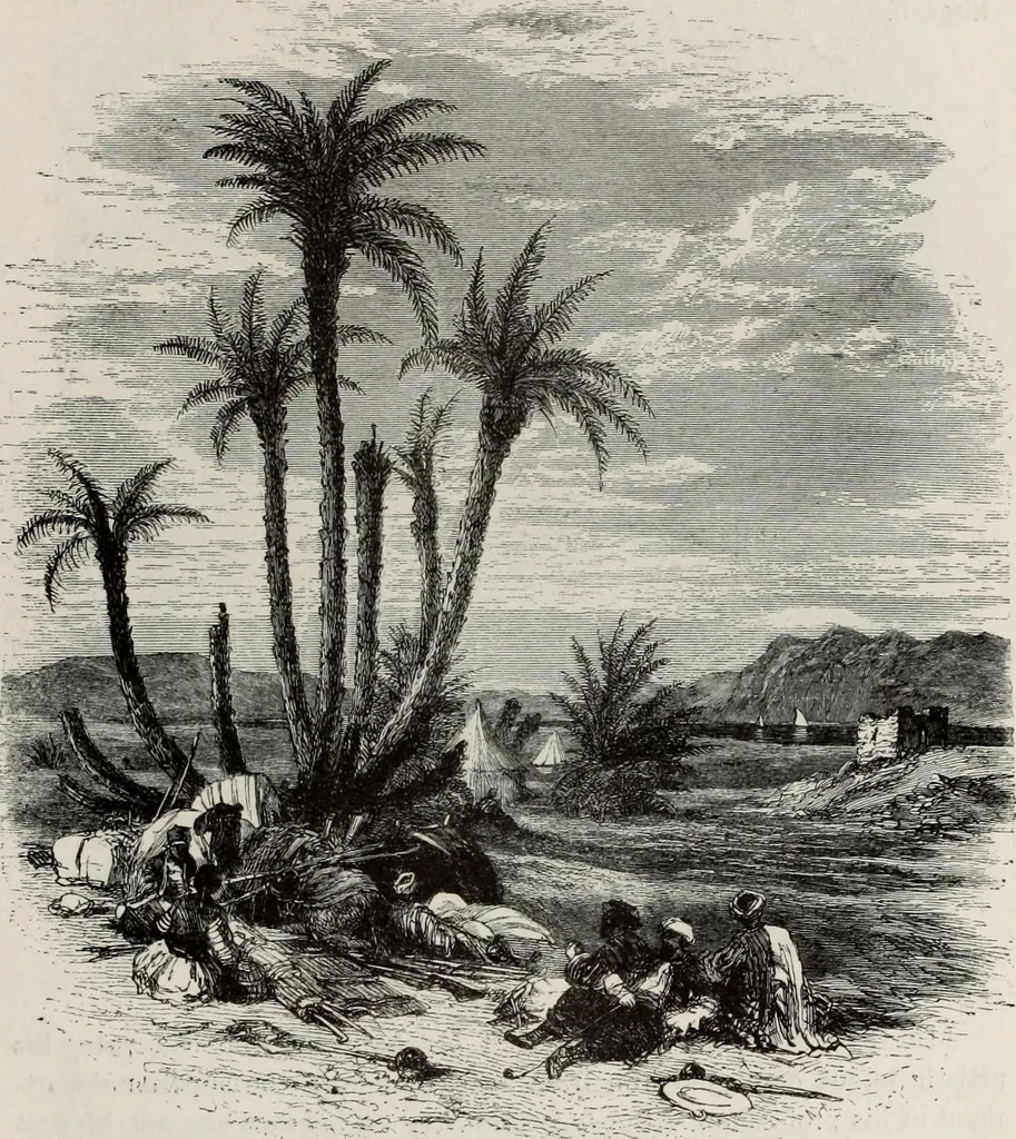 An illustration from A treatise on wood engravings : historical and practical, 1881, leaf 582