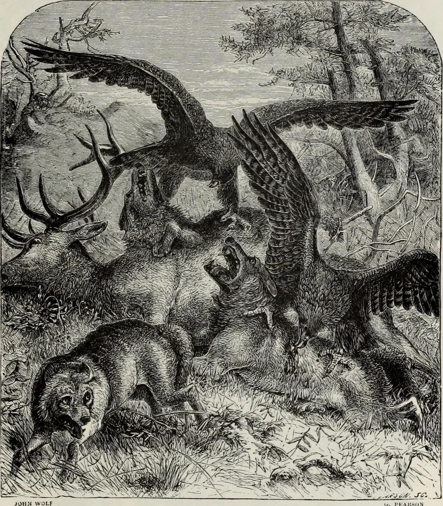 An illustration from A treatise on wood engravings : historical and practical, 1881, leaf 598