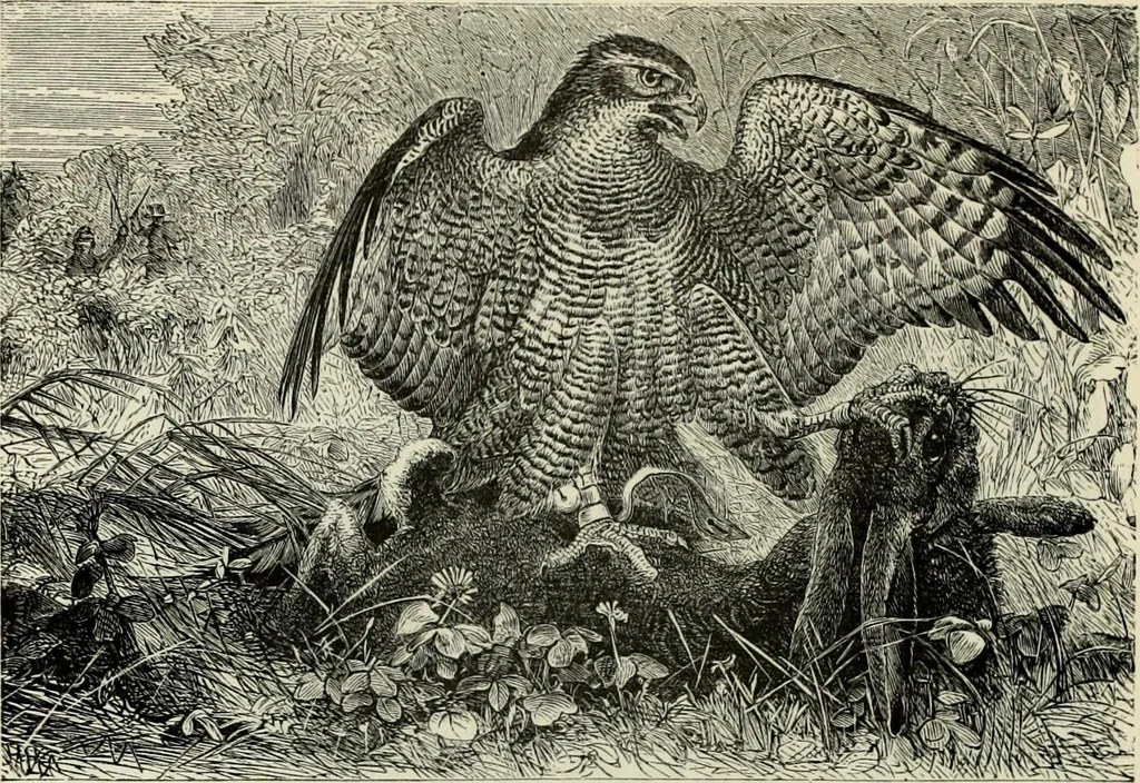 An illustration from A treatise on wood engravings : historical and practical, 1881, leaf 599