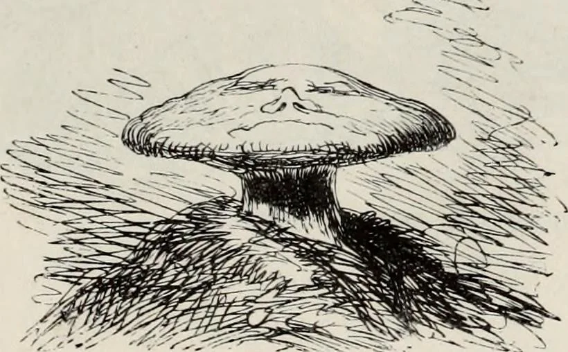 An illustration from A treatise on wood engravings : historical and practical, 1881, leaf 620