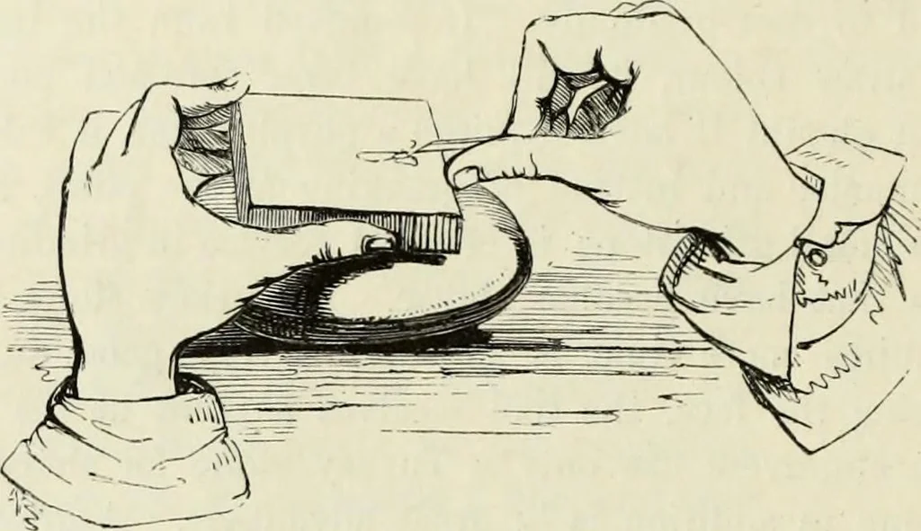 An illustration from A treatise on wood engravings : historical and practical, 1881, leaf 645