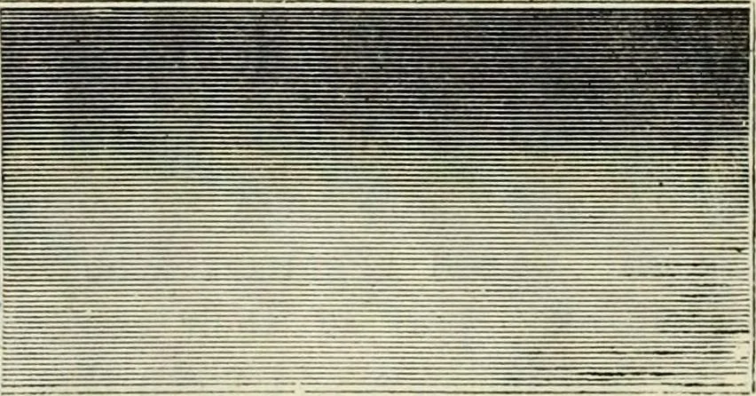An illustration from A treatise on wood engravings : historical and practical, 1881, leaf 647
