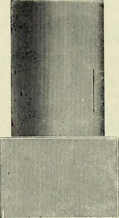 An illustration from A treatise on wood engravings : historical and practical, 1881, leaf 651