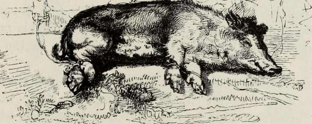 An illustration from A treatise on wood engravings : historical and practical, 1881, leaf 660