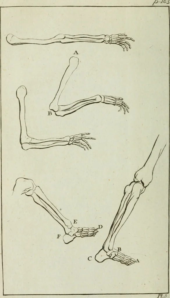 An illustration from A treatise on painting, 1796, leaf 129