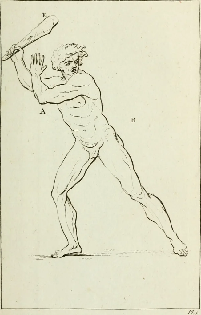 An illustration from A treatise on painting, 1796, leaf 132