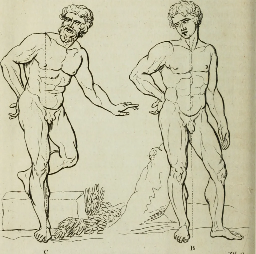An illustration from A treatise on painting, 1796, leaf 143