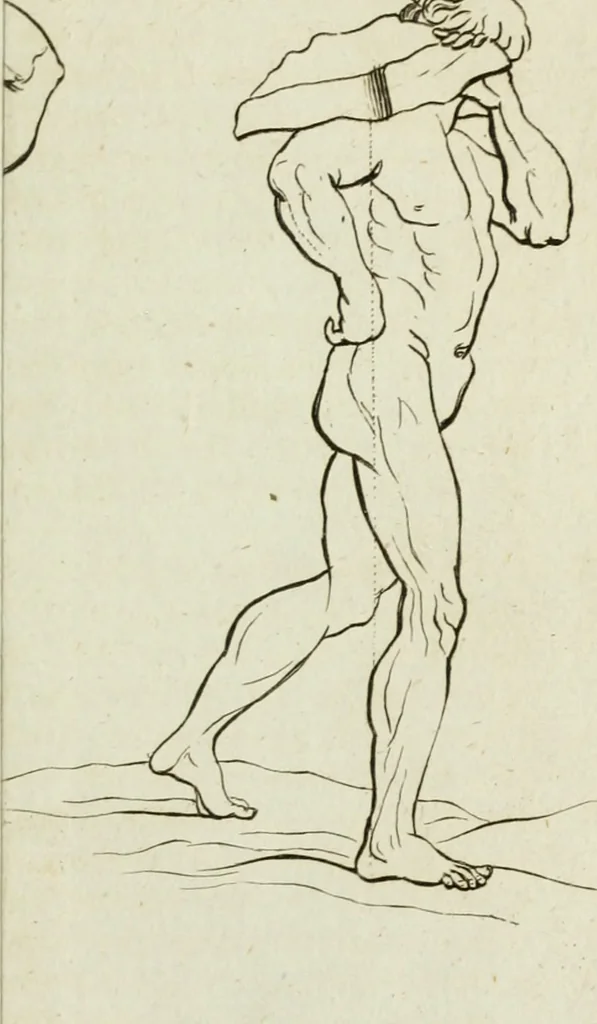 An illustration from A treatise on painting, 1796, leaf 146