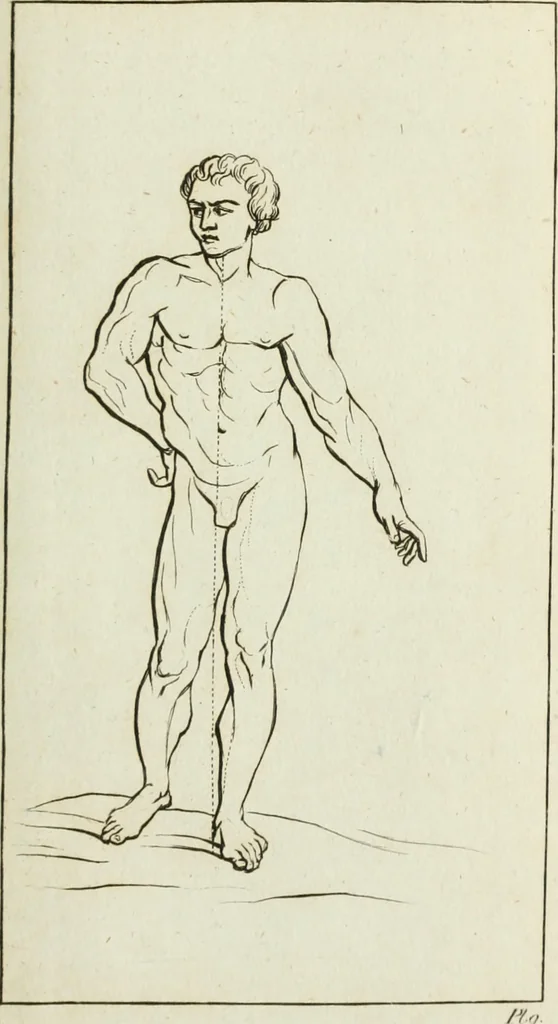 An illustration from A treatise on painting, 1796, leaf 152