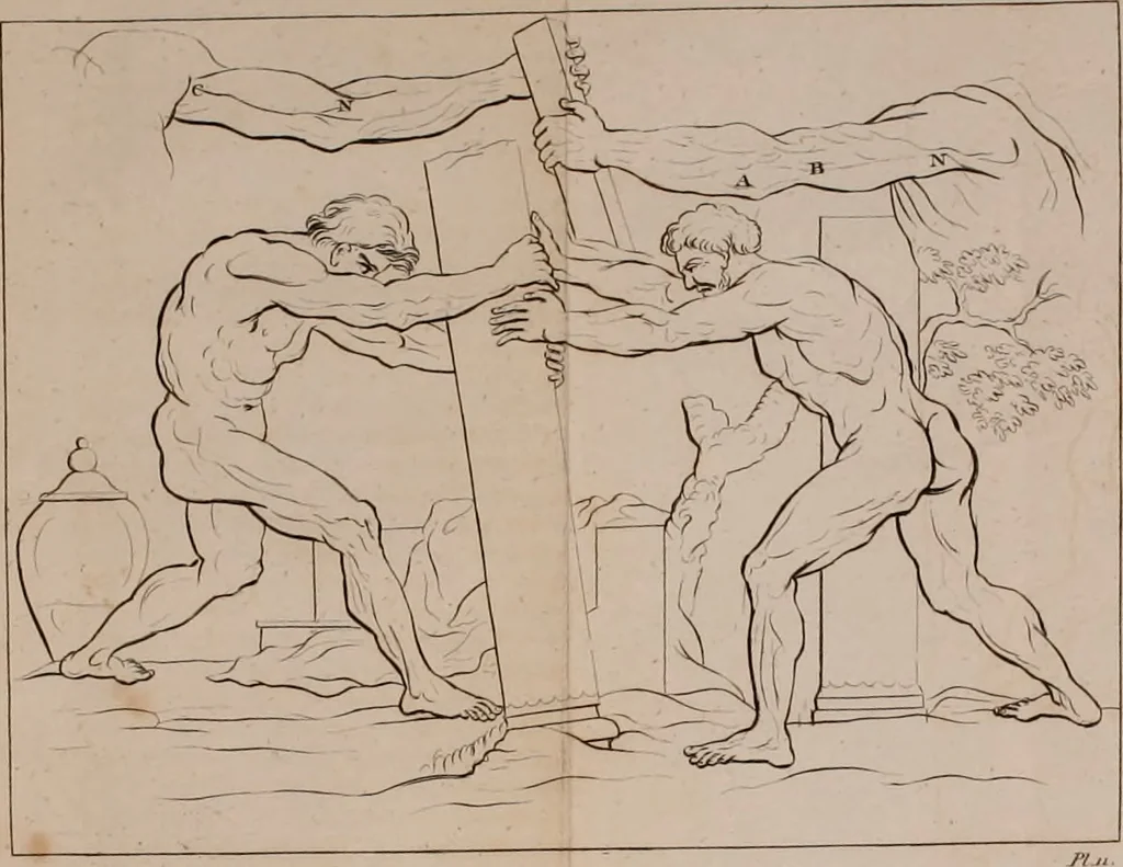 An illustration from A treatise on painting, 1796, leaf 165