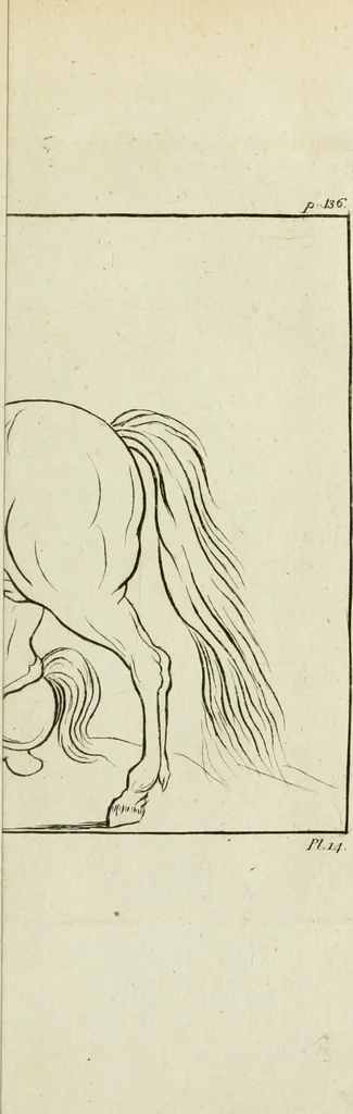 An illustration from A treatise on painting, 1796, leaf 184
