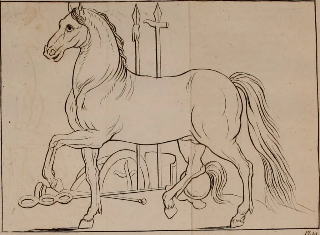 An illustration from A treatise on painting, 1796, leaf 185