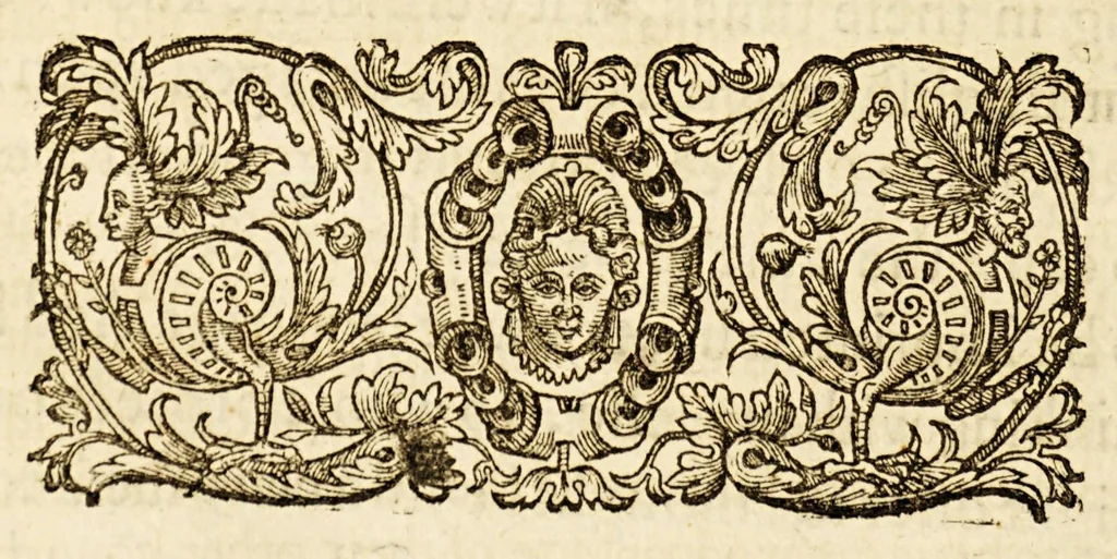 An illustration from A treatise paraenetical, that is to say, an exhortation. : Wherein is shewed by good and euident reasons, infallible arguments, most true and certaine histories, and notable examples; the right way & true meanes to resist the violence of the Castilian king: to breake the course of his desseignes: to beat downe his pride, and to ruinate his puissance. Dedicated to the kings, princes, potentates and commonweales of Christendome: and particularly to the most Christian king:, 1598, leaf 10