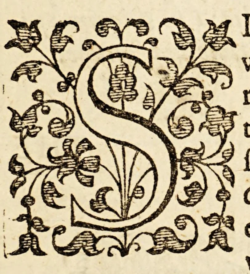 An illustration from A treatise paraenetical, that is to say, an exhortation. : Wherein is shewed by good and euident reasons, infallible arguments, most true and certaine histories, and notable examples; the right way & true meanes to resist the violence of the Castilian king: to breake the course of his desseignes: to beat downe his pride, and to ruinate his puissance. Dedicated to the kings, princes, potentates and commonweales of Christendome: and particularly to the most Christian king:, 1598, leaf 11