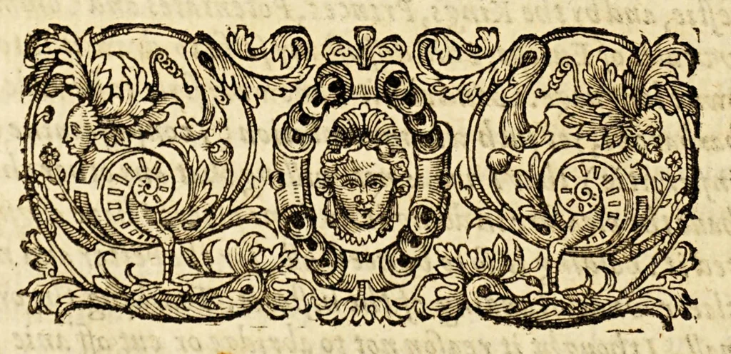 An illustration from A treatise paraenetical, that is to say, an exhortation. : Wherein is shewed by good and euident reasons, infallible arguments, most true and certaine histories, and notable examples; the right way & true meanes to resist the violence of the Castilian king: to breake the course of his desseignes: to beat downe his pride, and to ruinate his puissance. Dedicated to the kings, princes, potentates and commonweales of Christendome: and particularly to the most Christian king:, 1598, leaf 16