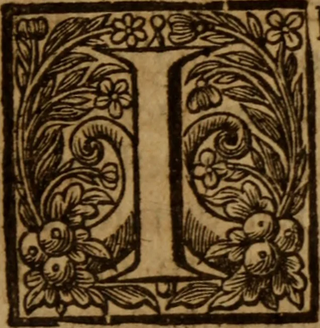 An illustration from A treatise of justifying righteousness : In two books: I. A treatise of imputed righteousness ... With an answer to Dr. Tullies Letter, adjoyned ; II. A friendly debate with ... Mr. Christopher Cartwright, containing: 1. His animadversions on my aphorisms, with my answer. 2. His exceptions against that answer. 3. My reply to the summe of the controversies agitated in those exceptions. All published instead of a fuller answer to the assaults in Dr. Tullies Justificatio Paulina .., 1676, leaf 236