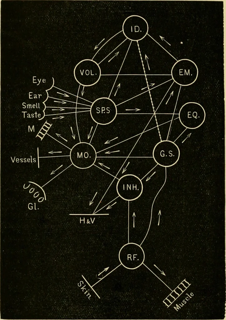 An illustration from Treatment by hypnotism and suggestion : or, psycho-therapeutics, 1900, leaf 147