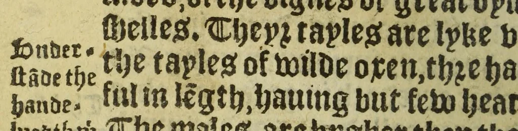 An illustration from A treatyse of the newe India, with other new founde landes and ilandes, aswell eastwarde as westwarde, as they are knowen and found in these oure dayes, after the descripcion of Sebastian Munster in his boke of vniuersall cosmographie : wherin the diligent reader may see the good successe and rewarde of noble and honeste enterpryses, by the which not only worldly ryches are obtayned, but also God is glorified, & the Christian fayth enlarged., 1553, leaf 56