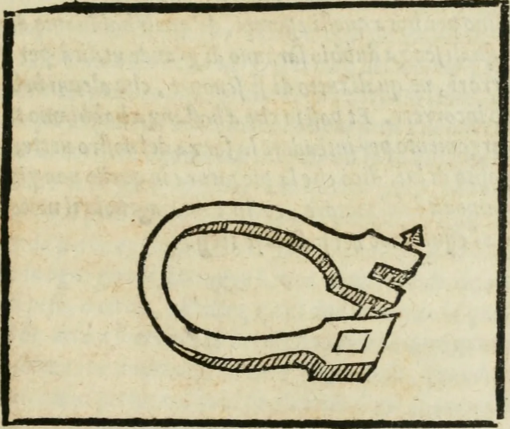 An illustration from Tre discorsi sopra il modo d'alzar acqve da' lvoghi bassi : per adacquar terreni : per leuar l'acque sorgenti & piouute dalle cãpagne, che non possono naturalmente dare loro il decorso : per mandare l'acqua da bere alle città, che n'hanno bisogno, & per altri simili vsi, 1567, leaf 88