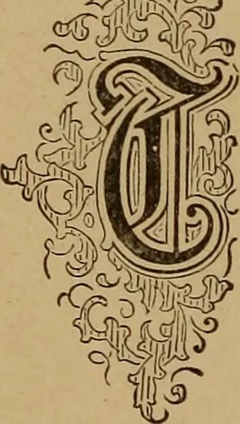 An illustration from The tree of knowledge; a startling scientific study of the original sin, and the sin of the angels, with a history of spiritism in all ages, 1894, leaf 223