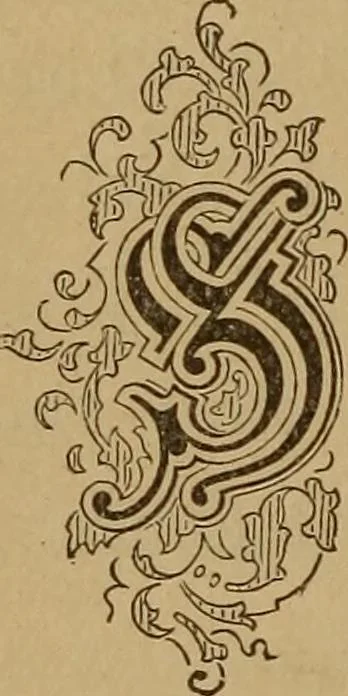 An illustration from The tree of knowledge; a startling scientific study of the original sin, and the sin of the angels, with a history of spiritism in all ages, 1894, leaf 297