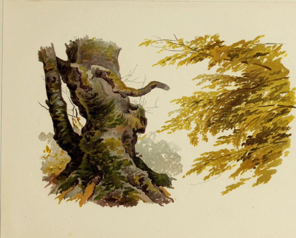 An illustration from Trees and how to paint them in watercolours, 1883, leaf 48
