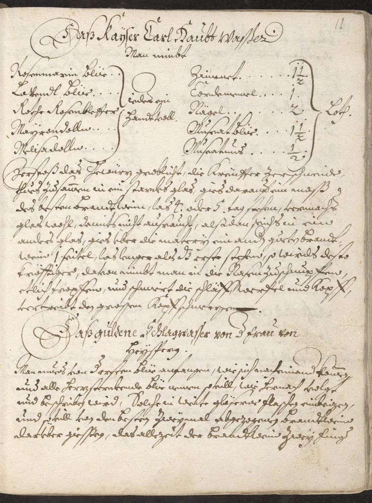 An illustration from Treffliche Arzeneybuch [17--?], 1700, leaf 17