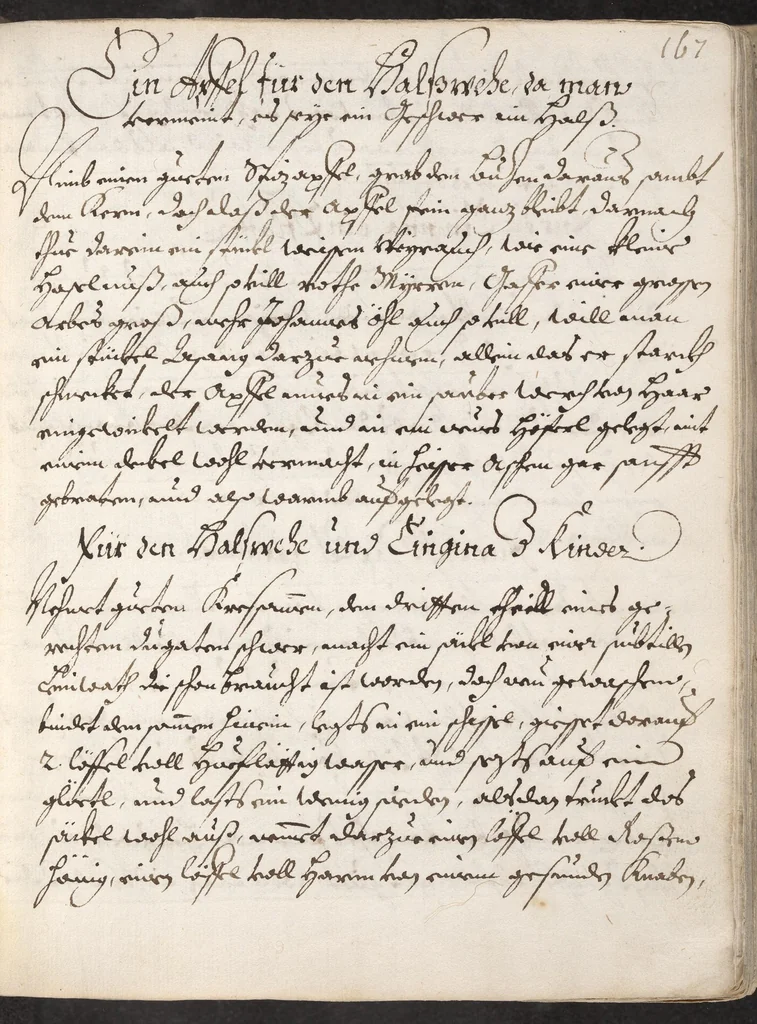 An illustration from Treffliche Arzeneybuch [17--?], 1700, leaf 173