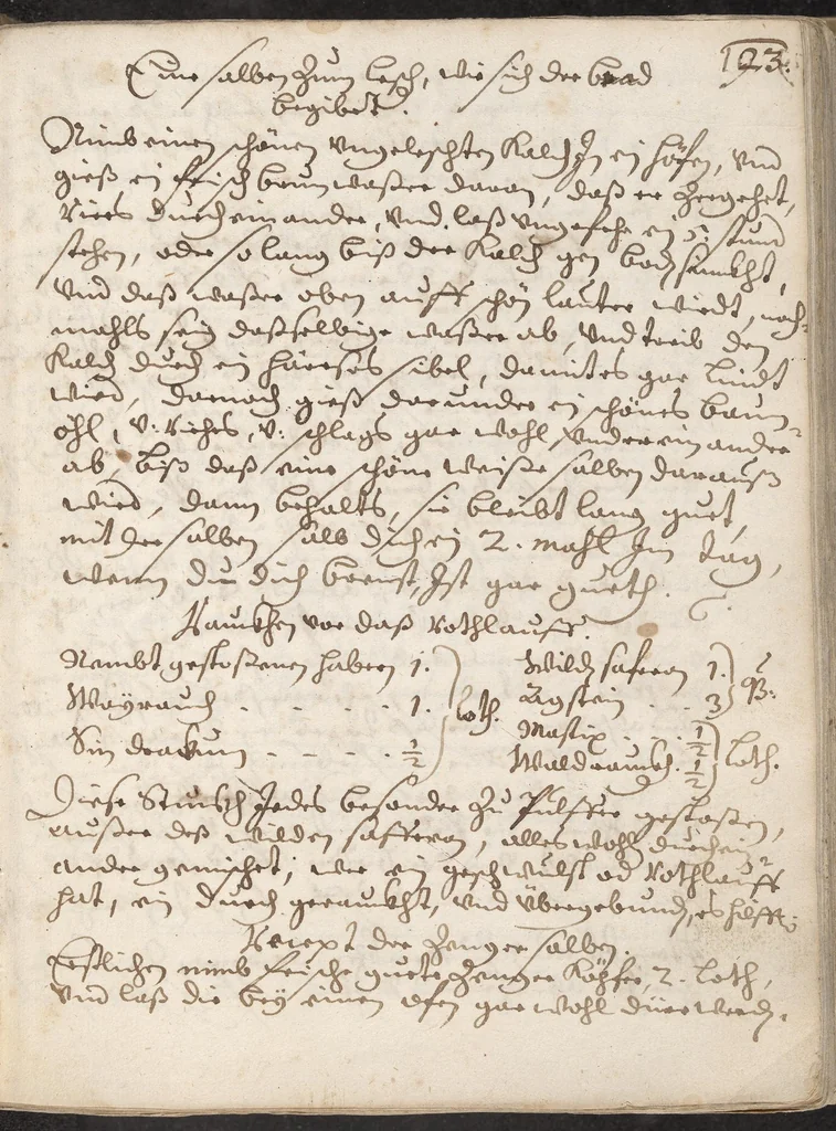 An illustration from Treffliche Arzeneybuch [17--?], 1700, leaf 199