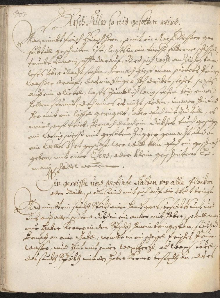 An illustration from Treffliche Arzeneybuch [17--?], 1700, leaf 208
