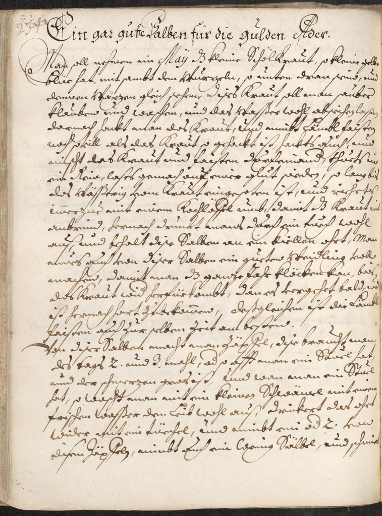 An illustration from Treffliche Arzeneybuch [17--?], 1700, leaf 240