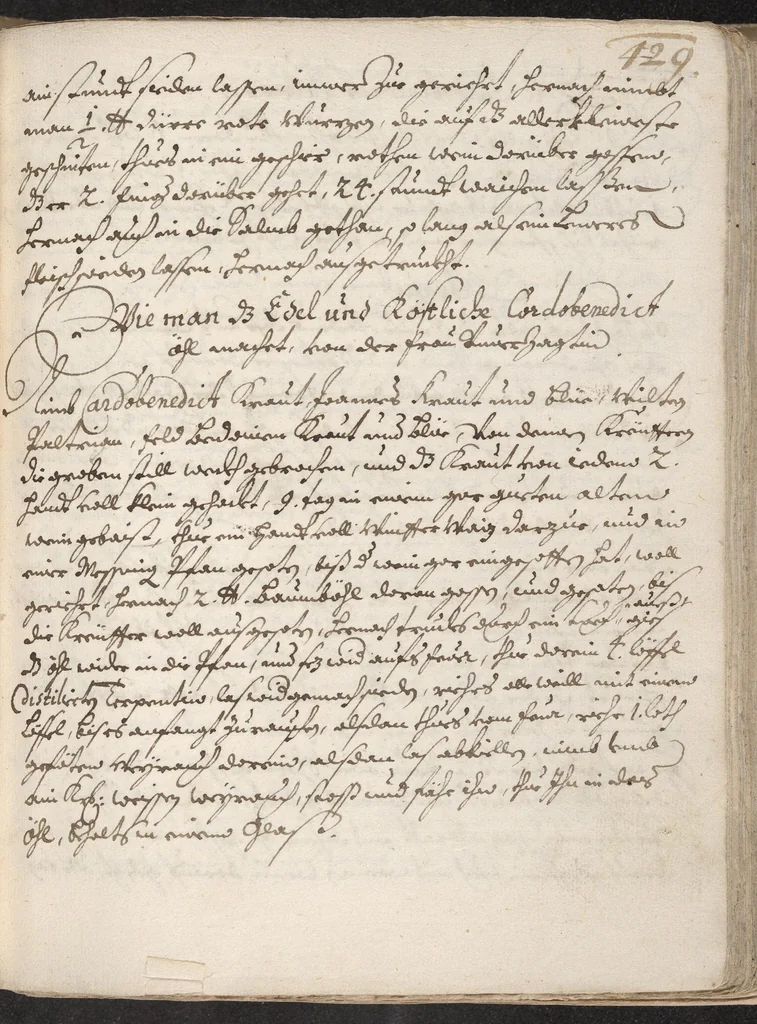 An illustration from Treffliche Arzeneybuch [17--?], 1700, leaf 409
